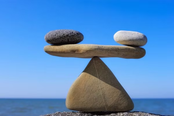 A Philosophical Critique: Is Race Real?