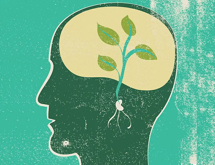 Developing an Obedient Mind